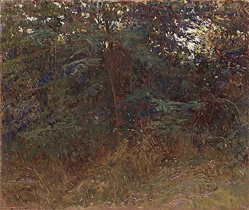 Angolo della foresta